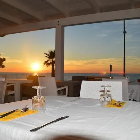 Vela Club &