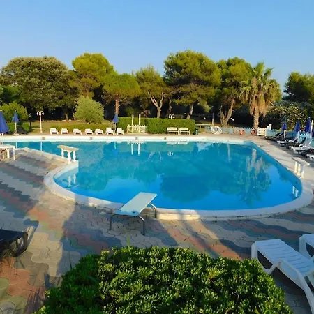 Vela Club &
